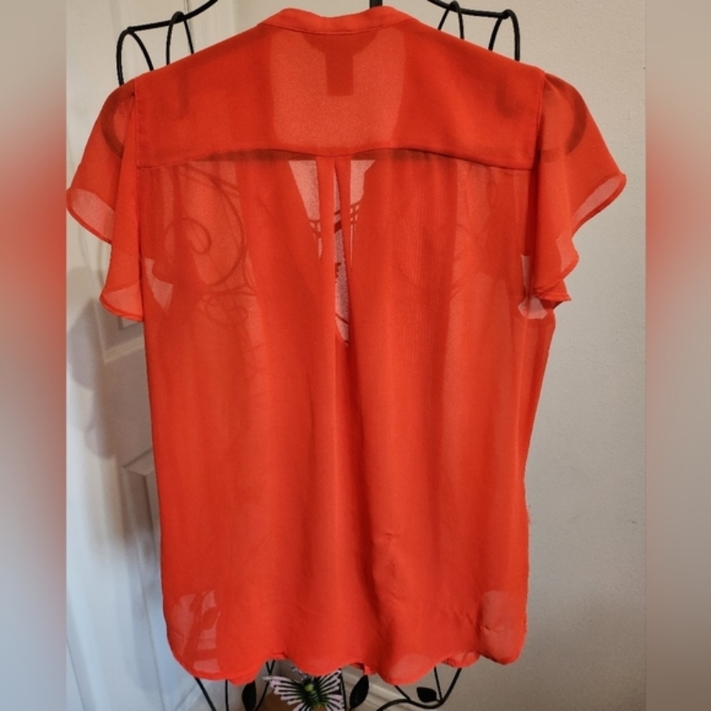 Sheer blouse - Picture 2 of 4